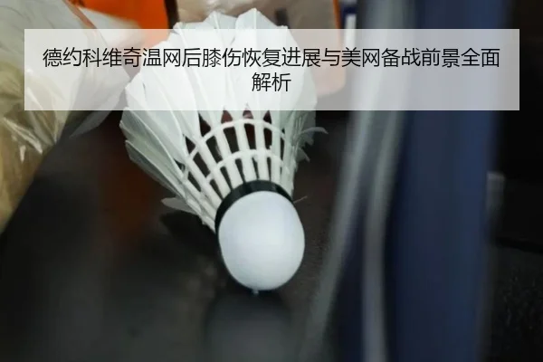 德约科维奇温网后膝伤恢复进展与美网备战前景全面解析